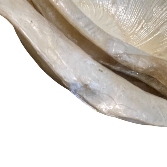 Set Of 7 Vintage Sea Shell Capiz Shell Bowls Salad Bowls - Picture 6 of 9